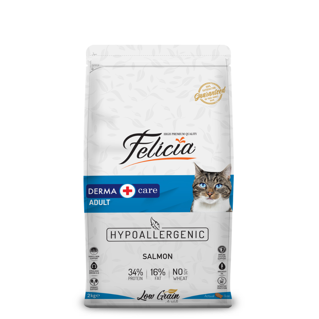 Felicia Somonlu Yetişkin Kuru Kedi Maması 2 kg