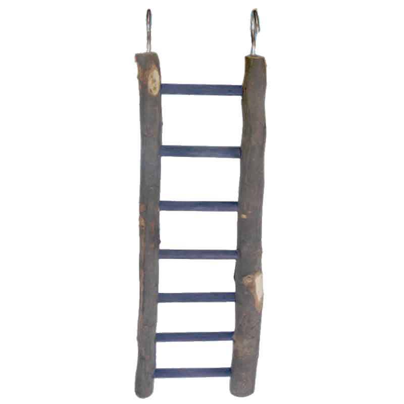 Eastland Ahşap Merdiven Kuş Oyuncağı 29 cm