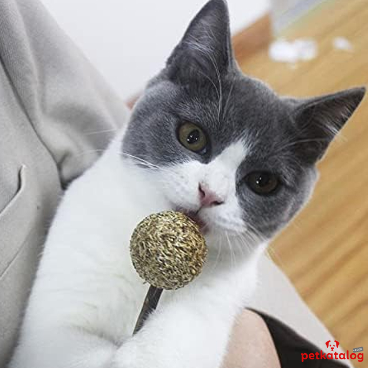 Product Gallery Image