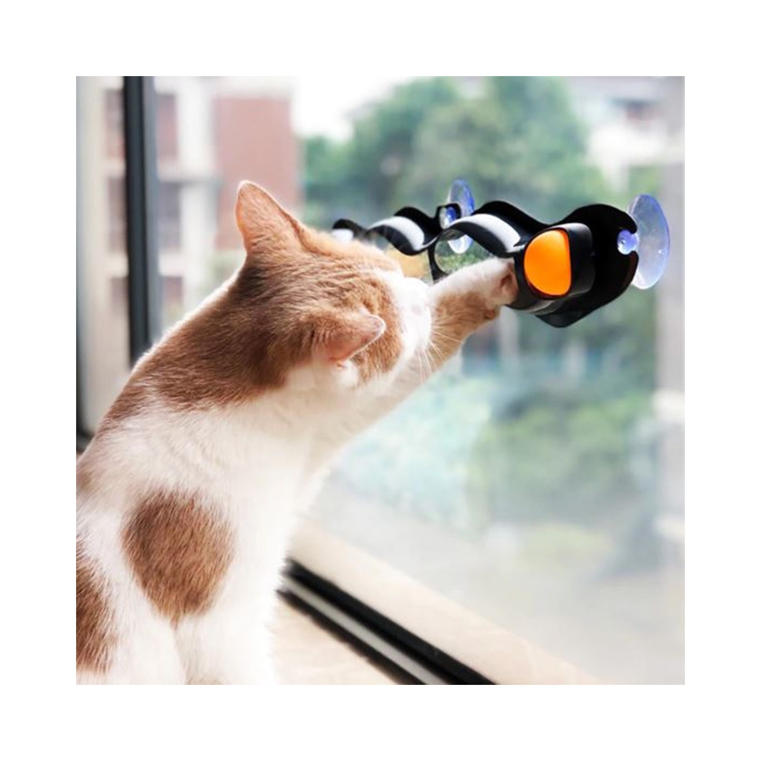 Product Gallery Image