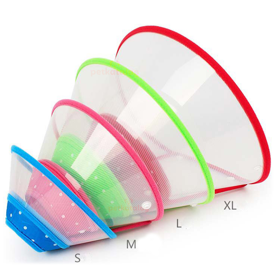 Köpek Ameliyat Plastik Yakalık S