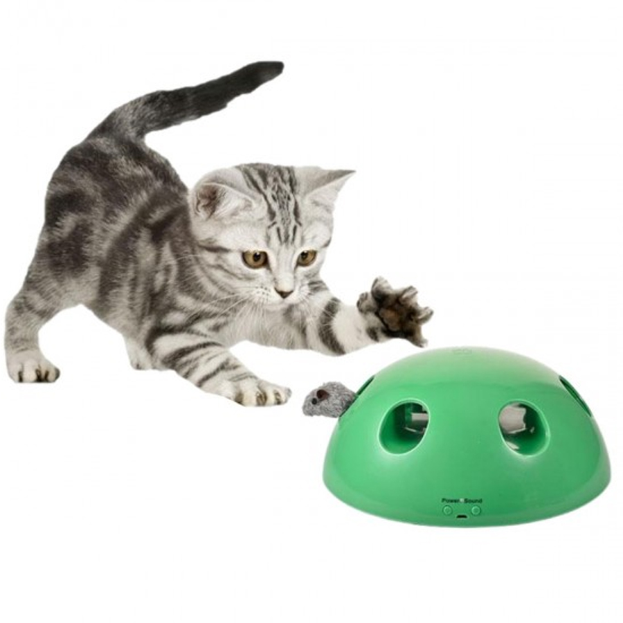 Product Gallery Image