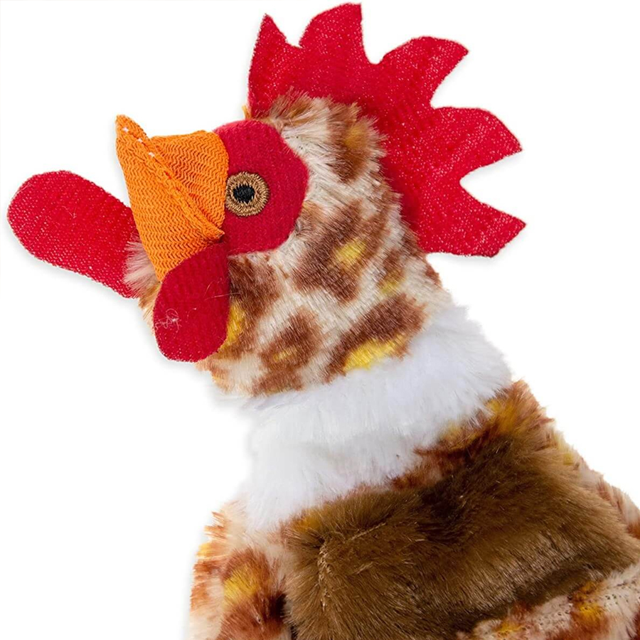 Product Gallery Image