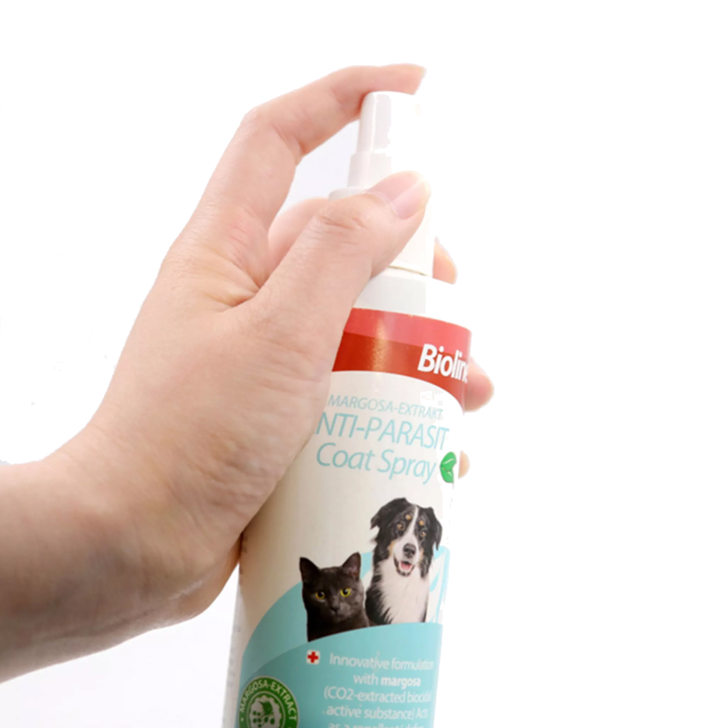 Product Gallery Image