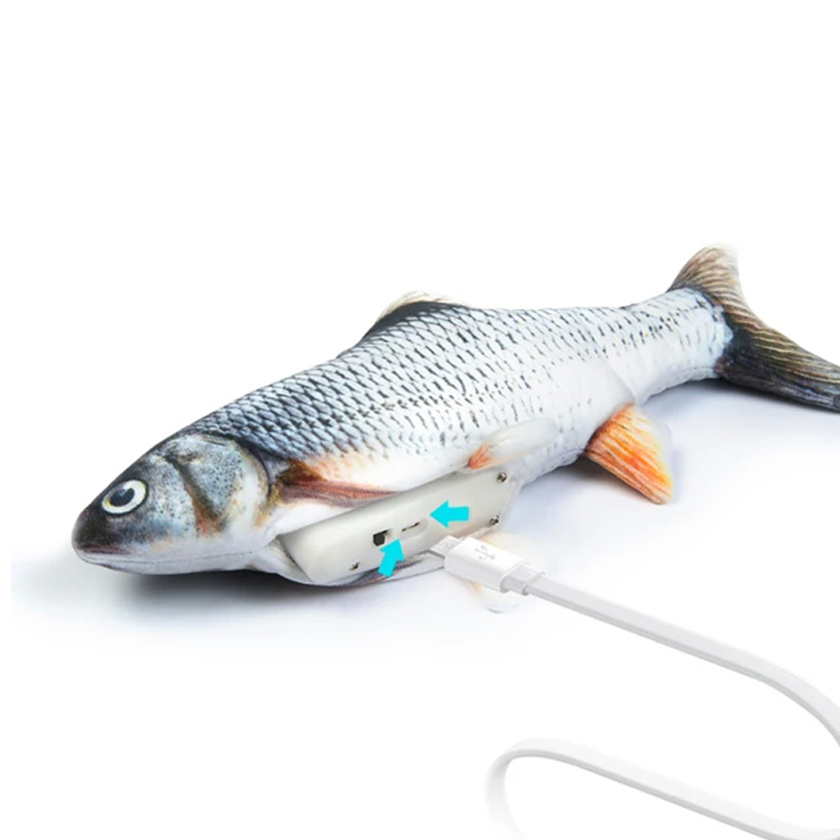 Product Gallery Image