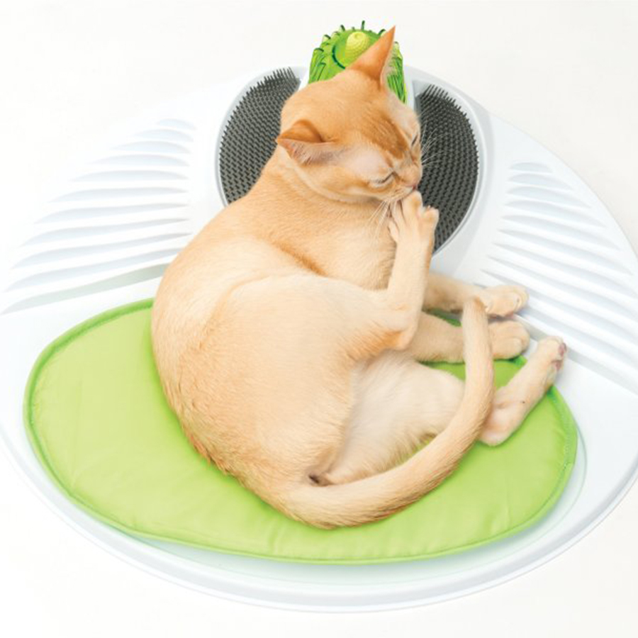 Product Gallery Image