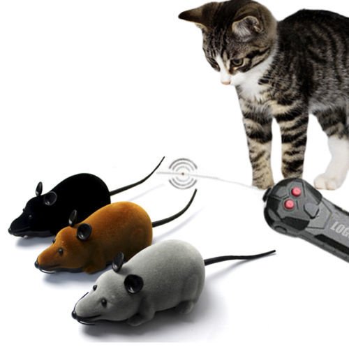 Product Gallery Image