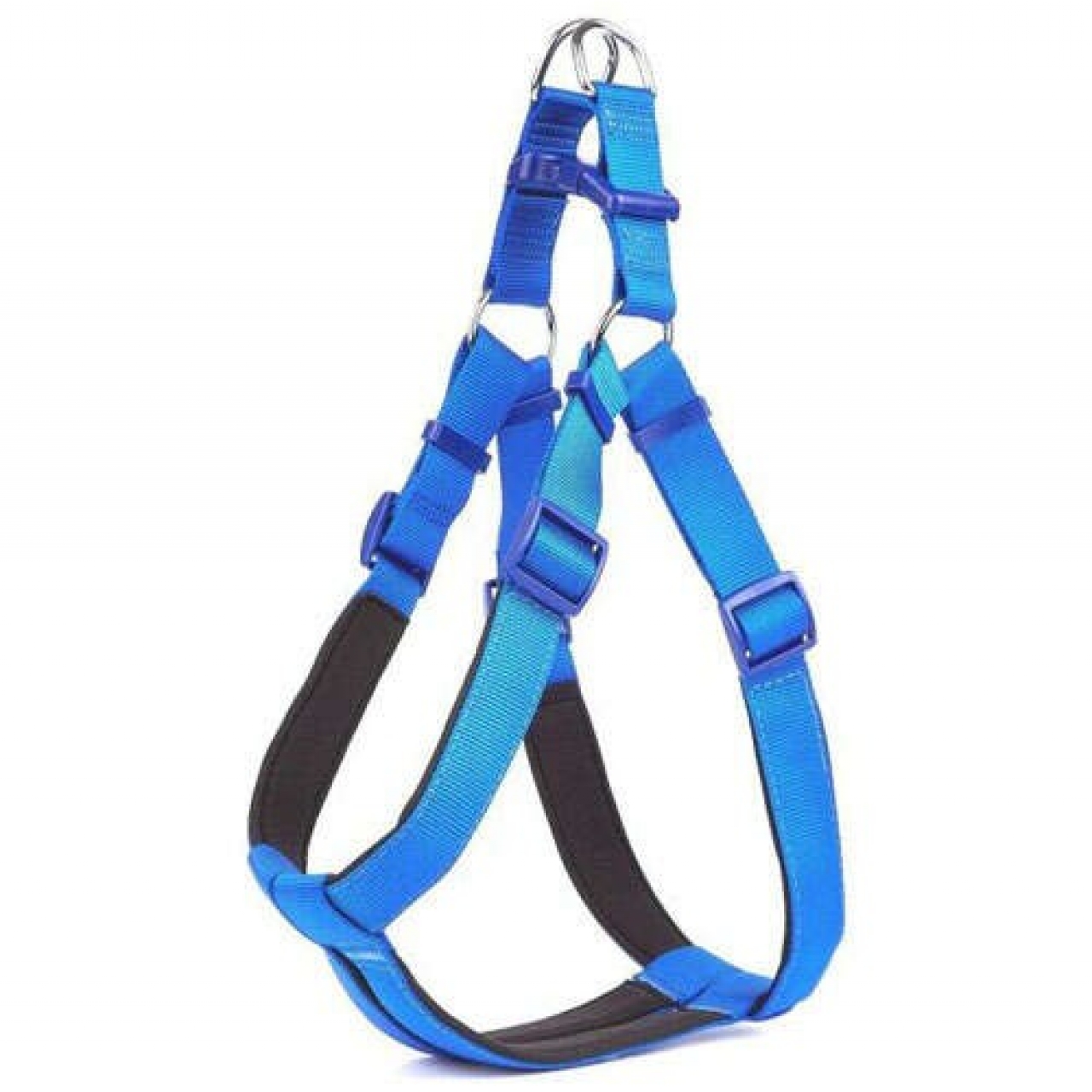 Ewox Köpek Göğüs Tasması L Mavi