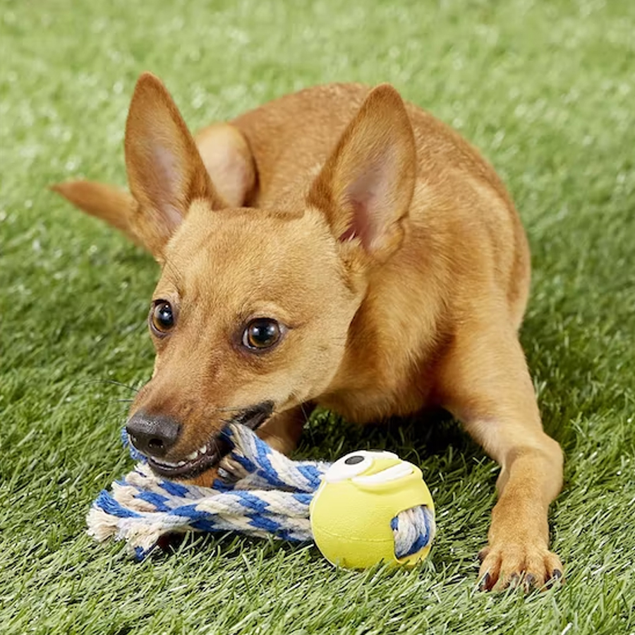 Product Gallery Image