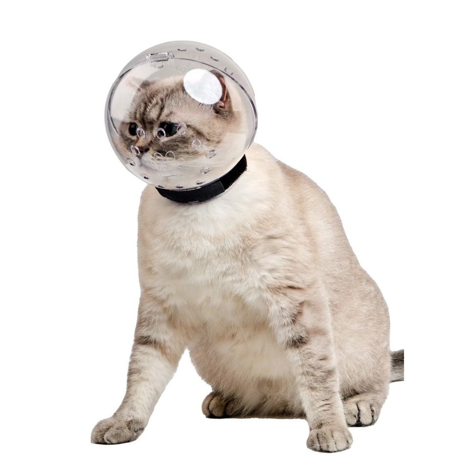 Lavimo Kedi Bakım Küresi