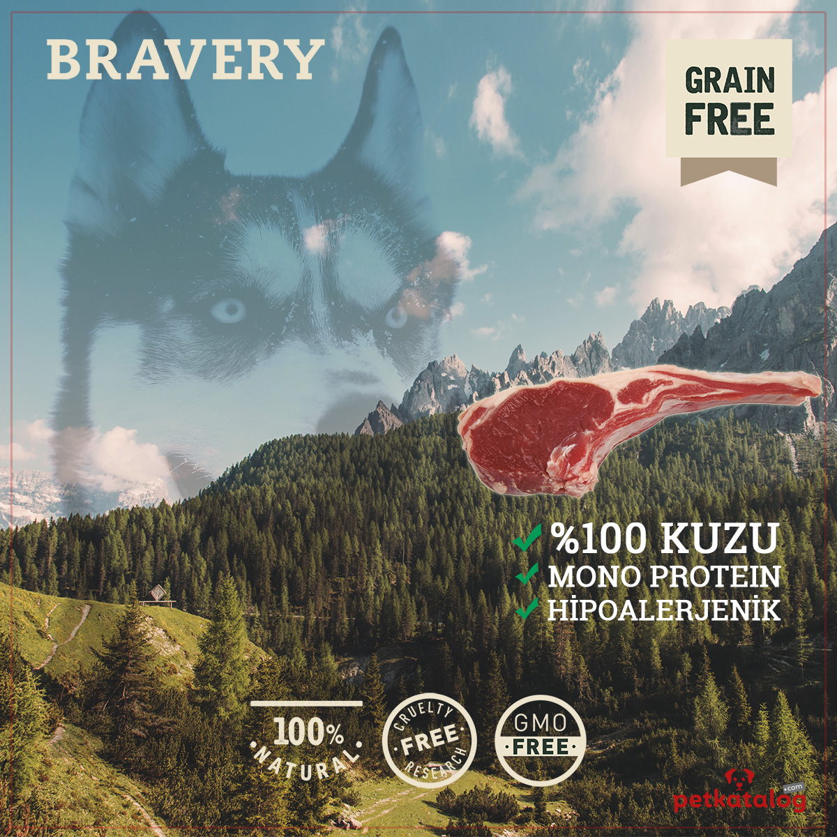 Product Gallery Image