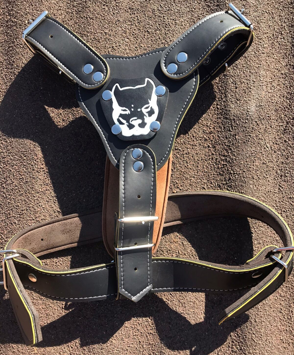 Pet Pretty Gladyatör Pitbull Armalı Göğüs Tasması Large