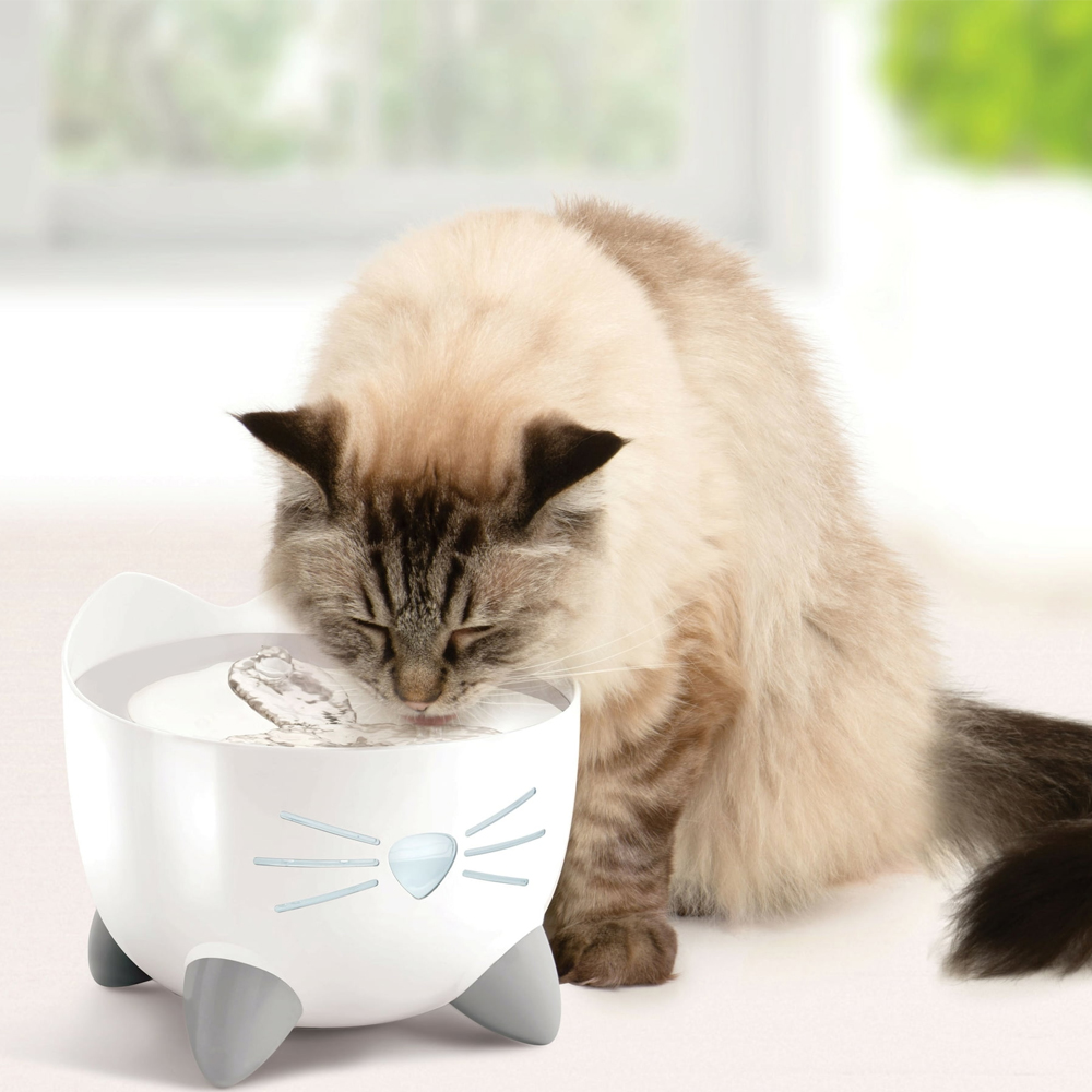 Product Gallery Image