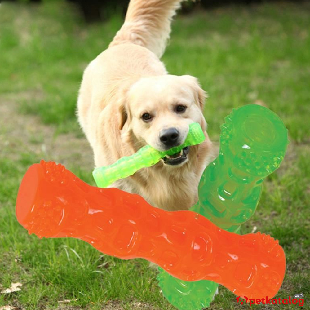 Product Gallery Image