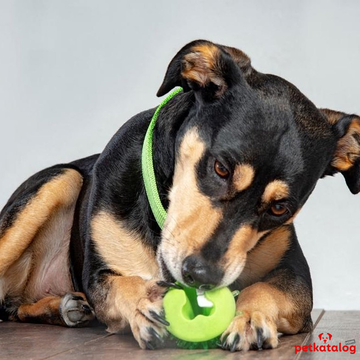 Product Gallery Image