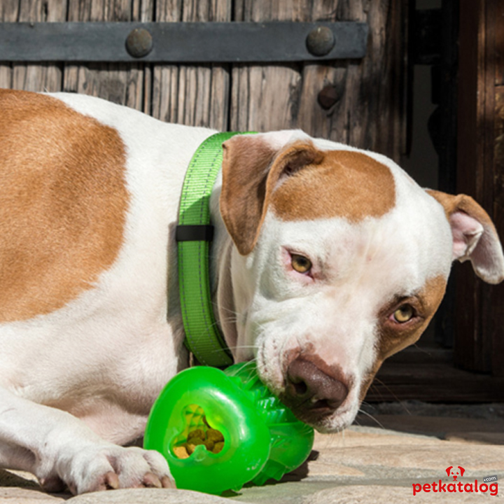 Product Gallery Image