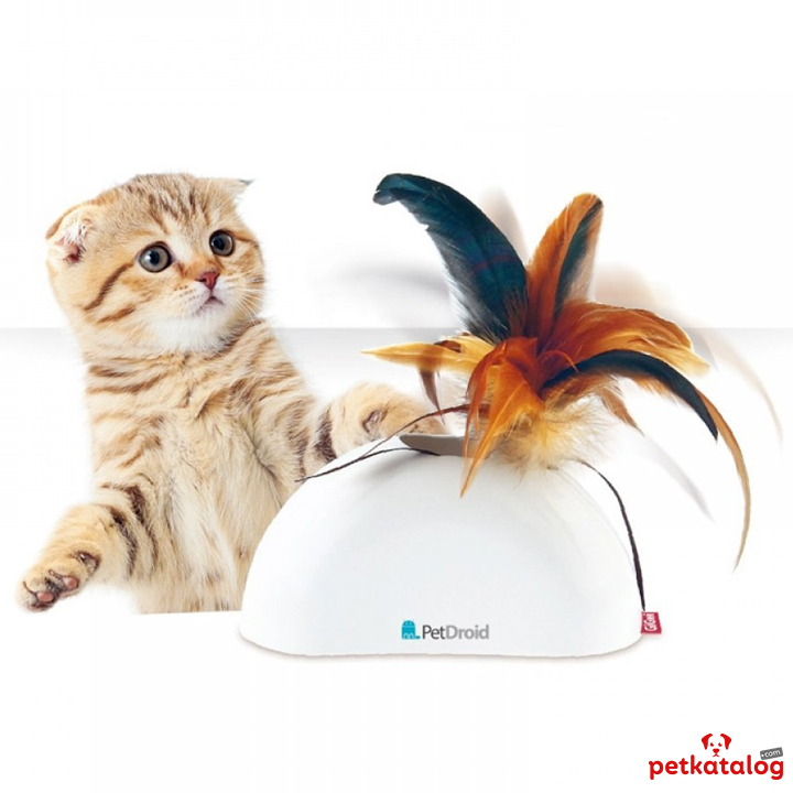 Product Gallery Image