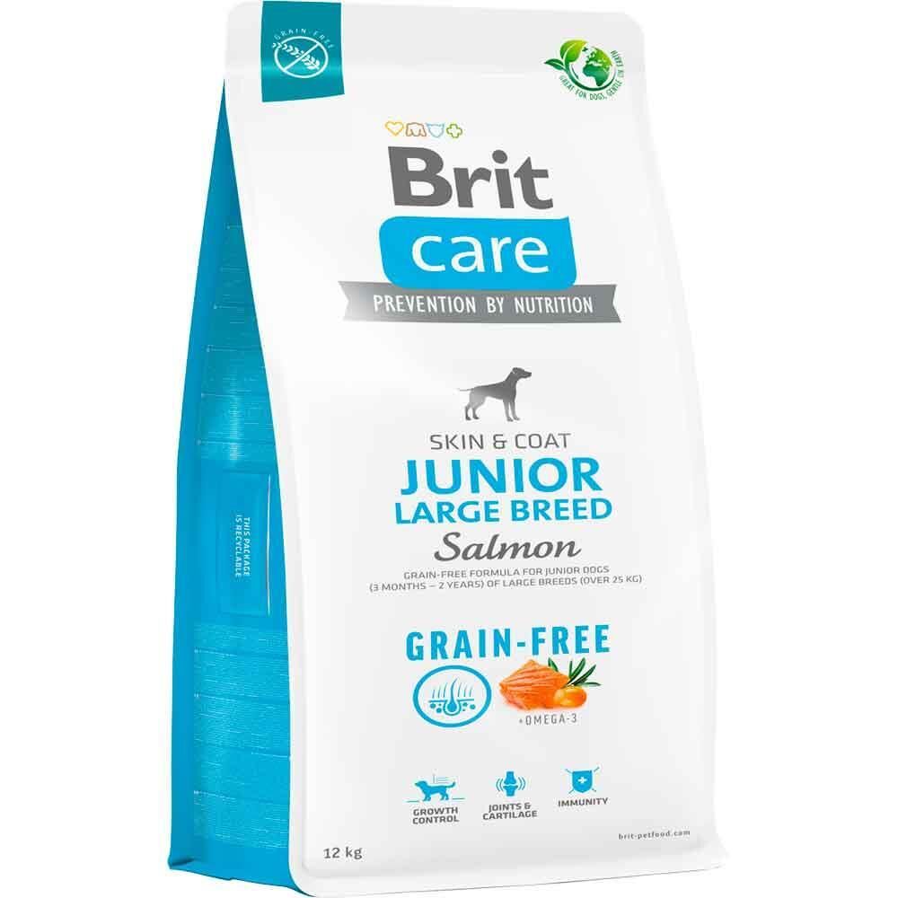 Brit Care Junior Skin & Coat Somonlu Tahılsız Büyük Irk Yavru Köpek Maması 12KG