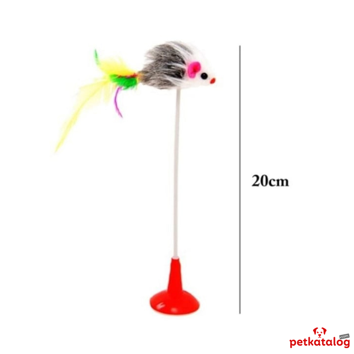 Product Gallery Image