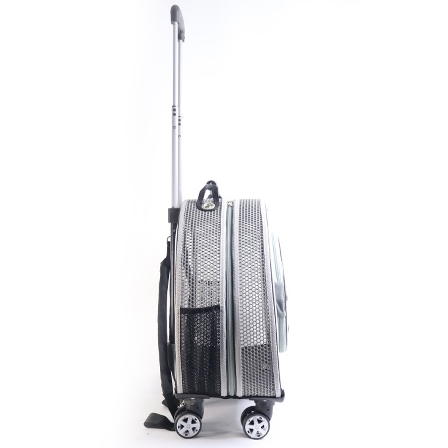 Product Gallery Image