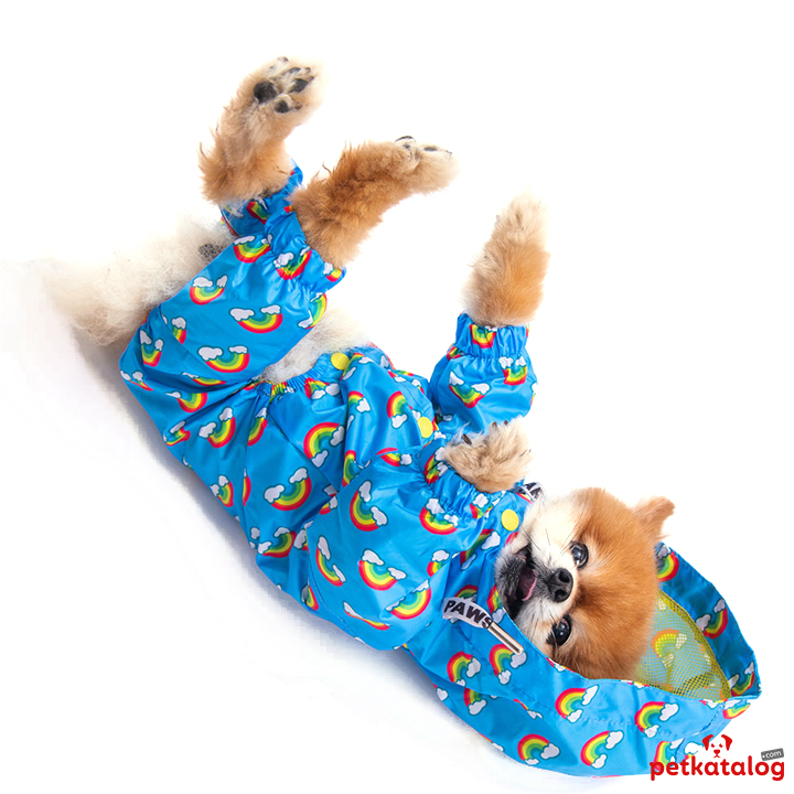 Product Gallery Image