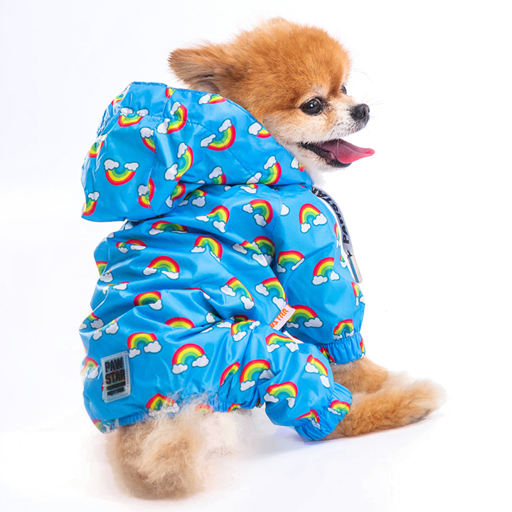 Pawstar Irides Gökkuşağı Desenli Küçük Irk Köpek Yağmurluğu 4,6-6,5KG [L] - Su geçirmez