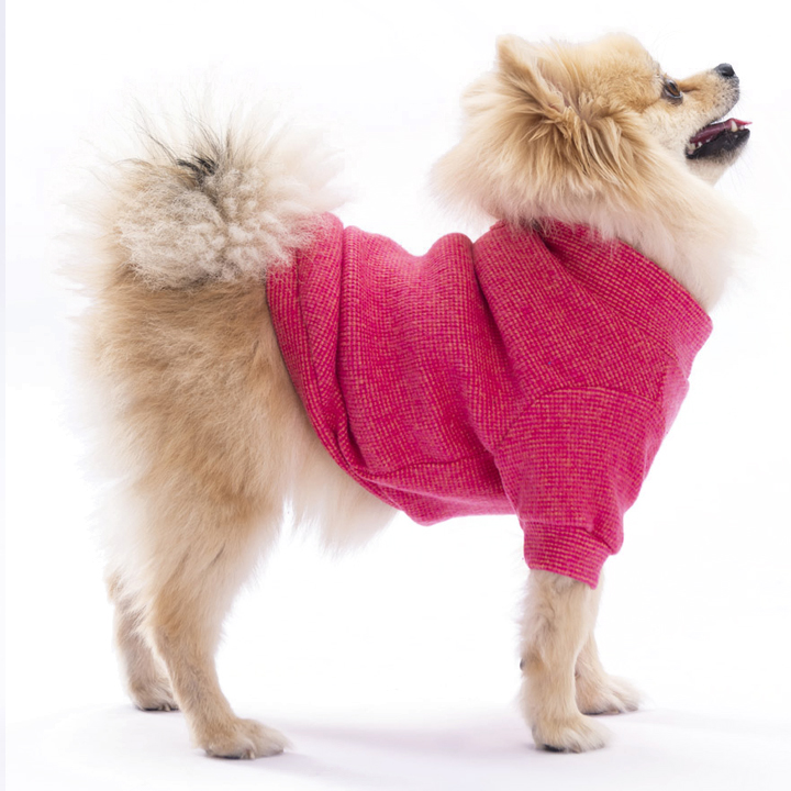 Pawstar Merino Pembe Orta Irk Köpek Sweat 9-11KG [2XL]