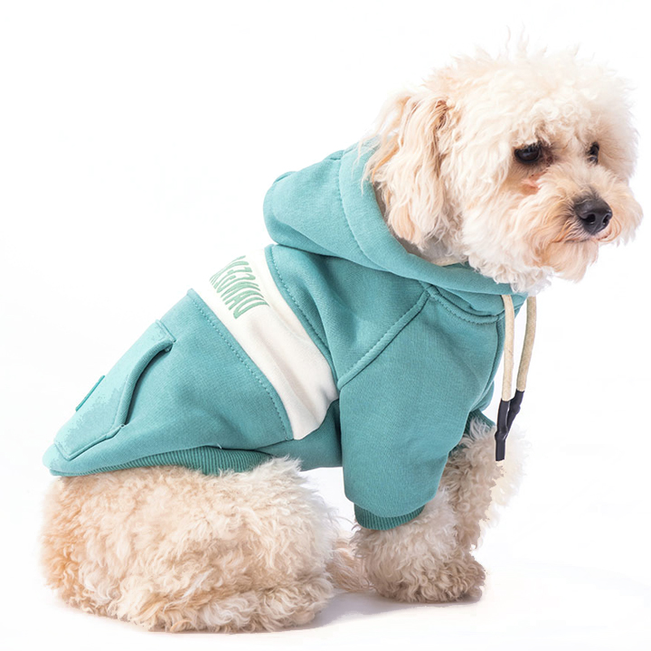 Pawstar Cute Hoodie Yeşil Küçük Irk Köpek Sweat 2,6-4,5KG [M]