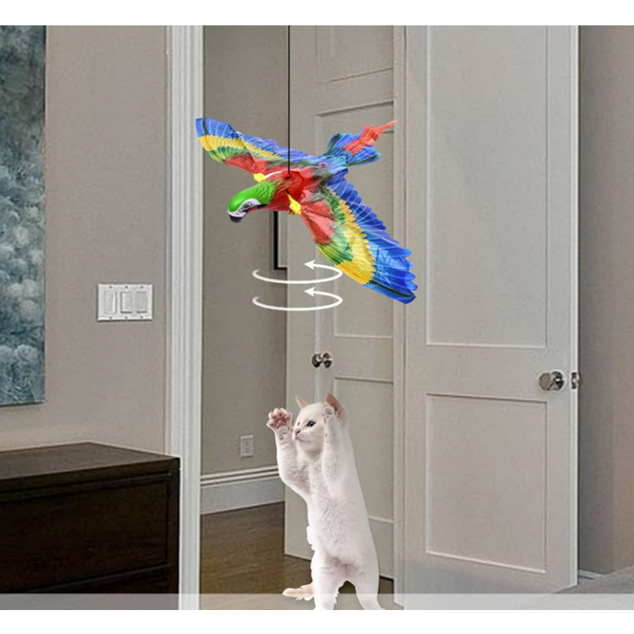 Product Gallery Image