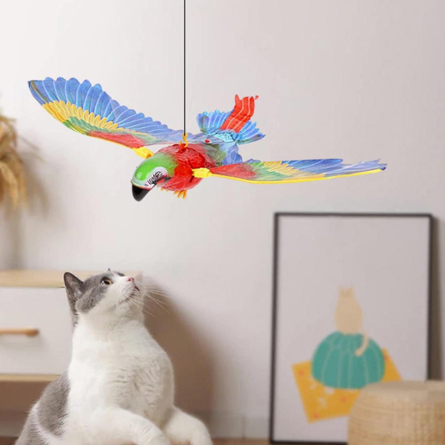 Product Gallery Image