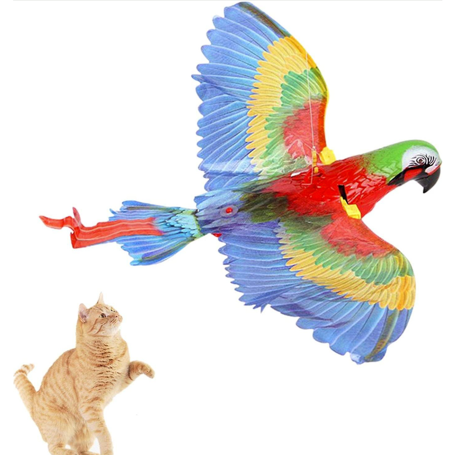 Product Gallery Image