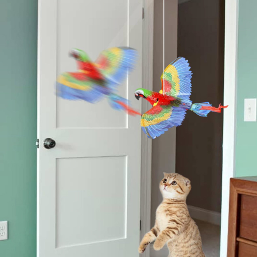 Product Gallery Image