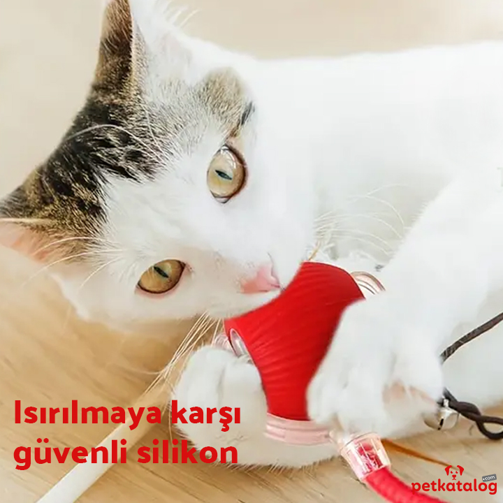 Product Gallery Image