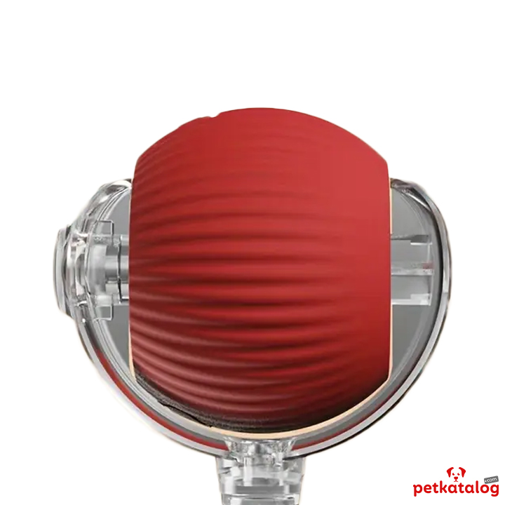 Product Gallery Image