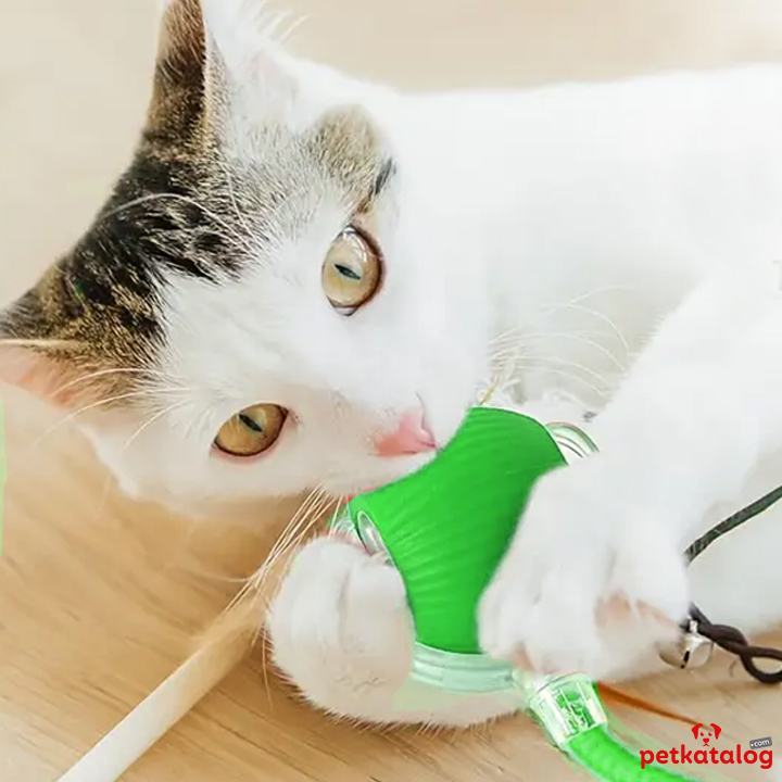 Product Gallery Image