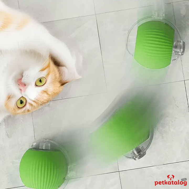 Product Gallery Image