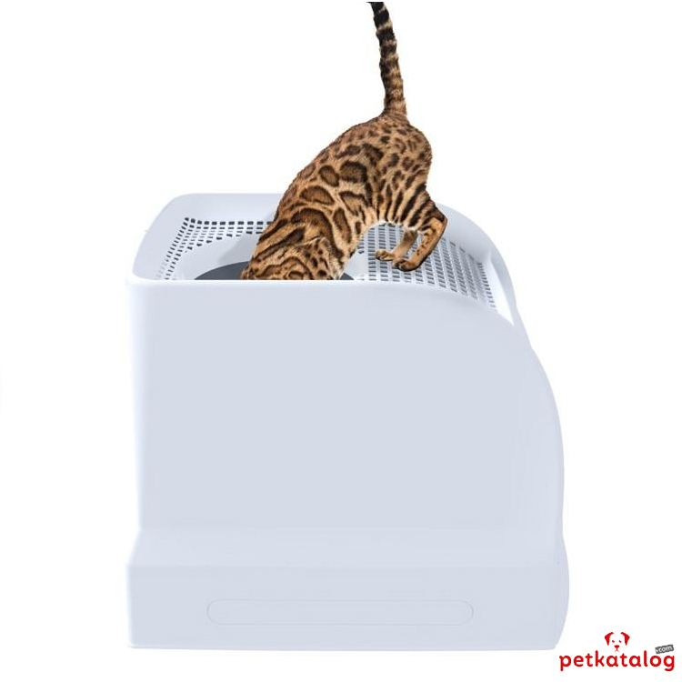 Product Gallery Image