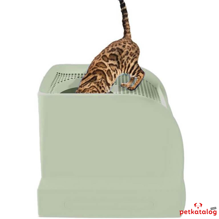 Product Gallery Image