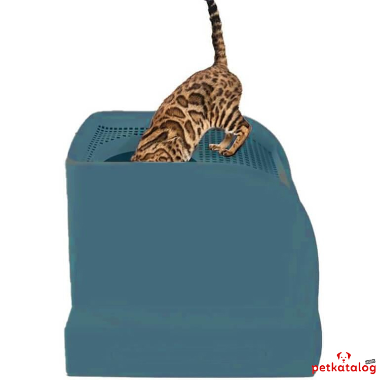 Product Gallery Image