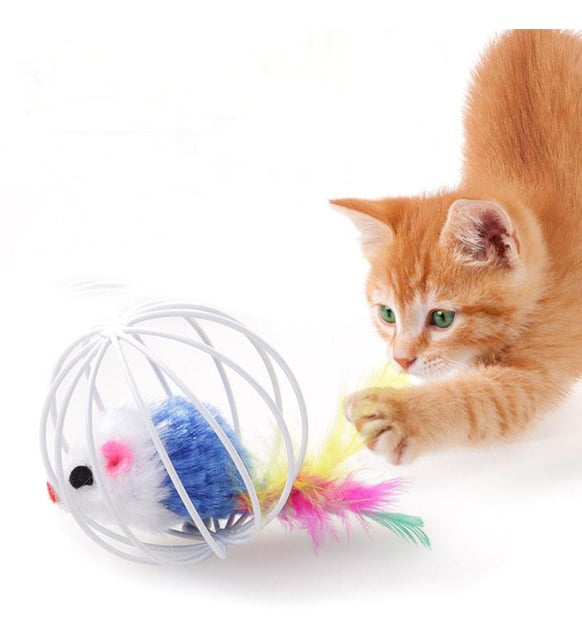 Product Gallery Image