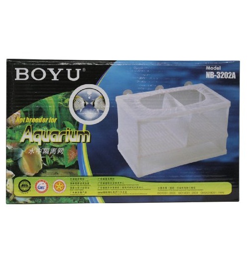 Boyu Tül Akvaryum Balık Yavruluğu Büyük