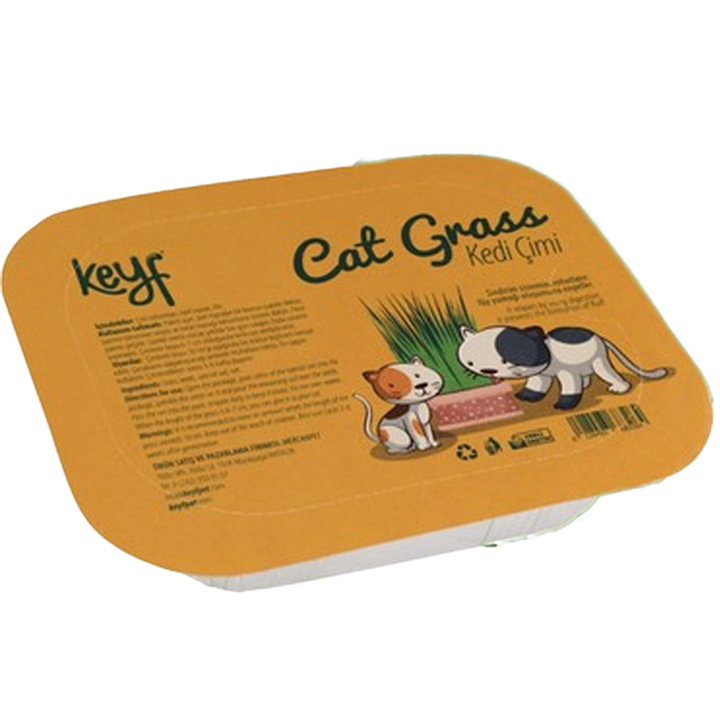 Keyf Kedi Çimi