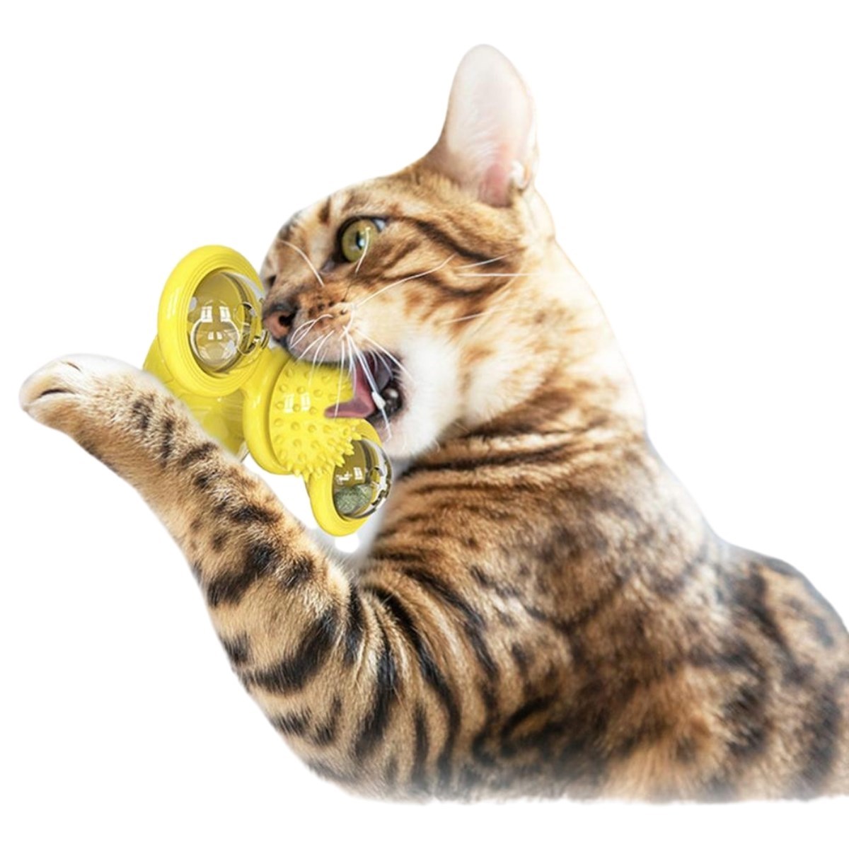 Product Gallery Image