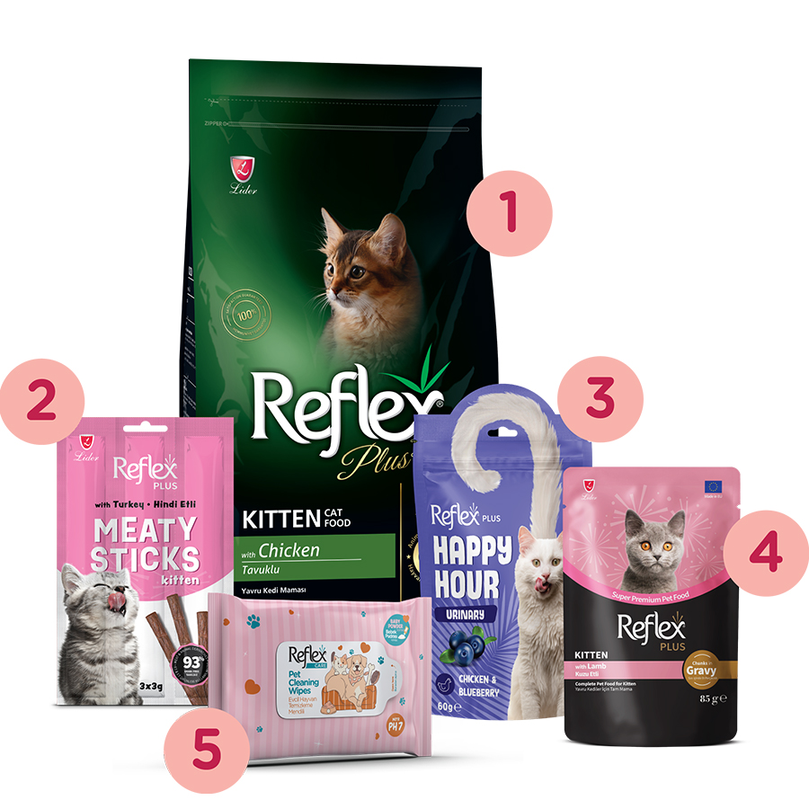 Reflex Plus Yavru Kedi Başlangıç Paketi (5Parça)