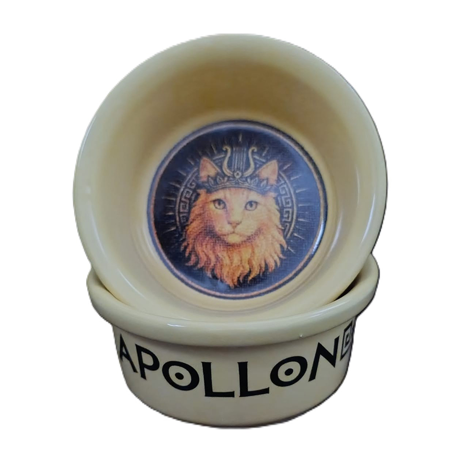 Raccoon Olimpos Apollon Kediler İçin Seramik Mama Kabı 300 ml