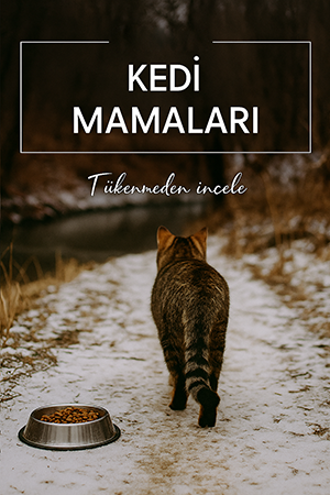 Kedi Maması