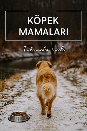 Köpek Maması